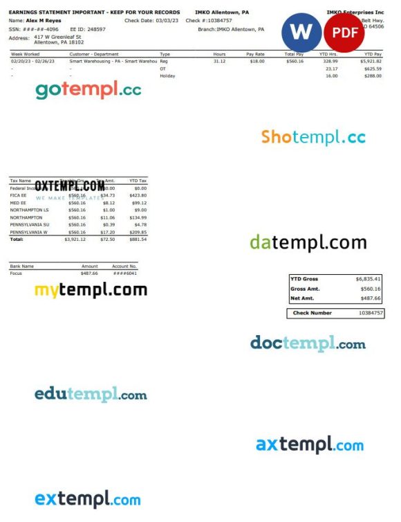 IMKO Enterprises Inc earnings statement Word and PDF example