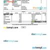 INDIA AIRTEL multinational telecommunications services company payslip example in Word and PDF formats