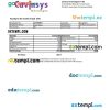 INDIA CAVINSYS Technologies Pvt Ltd payslip example in Word and PDF formats
