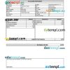 INDIA COGNIZANT Technology Solutions Indian Private Ltd payslip pay stub example in Word and PDF formats