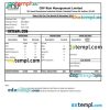 INDIA CRP Risk Management Limited salary slip example in Word and PDF formats