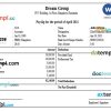 INDIA DREAM group payslip pay stub example in Word and PDF formats