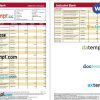 India Induslnd bank statement 3 - 6 months Word and PDF example, 2 pages