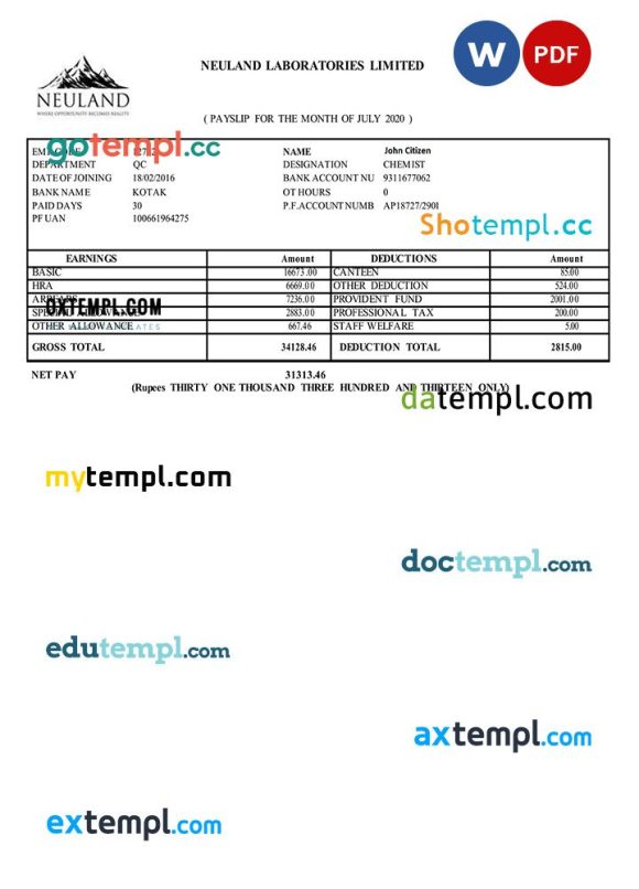 INDIA NEULAND Laboratories Limited example in Word and PDF formats