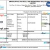 INDIA SMARTOFFICE and Biometrics Solutions Private Limited Payroll example in Word and PDF formats