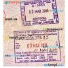Indian stamp tourist visa PSD example