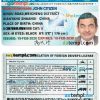 International Translation of driver's license PSD example