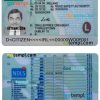 Irish driver license download (learner permit) example in PSD format, 2022- present