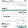 IT Services Invoice example in word and pdf format