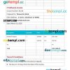 IT Software Invoice example in word and pdf format