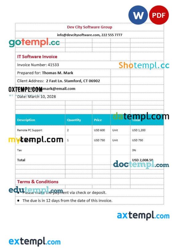 IT Software Invoice example in word and pdf format