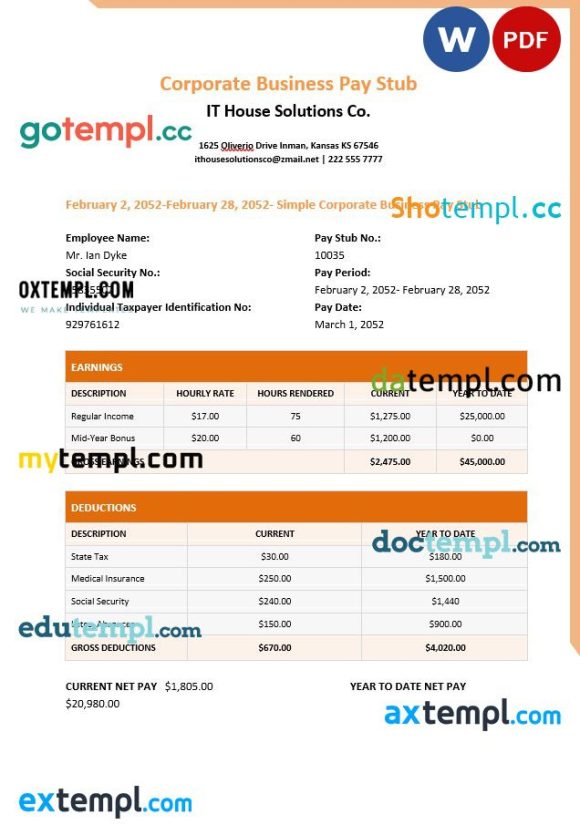 IT house solutions Co. pay stub example in PDf and Word formats