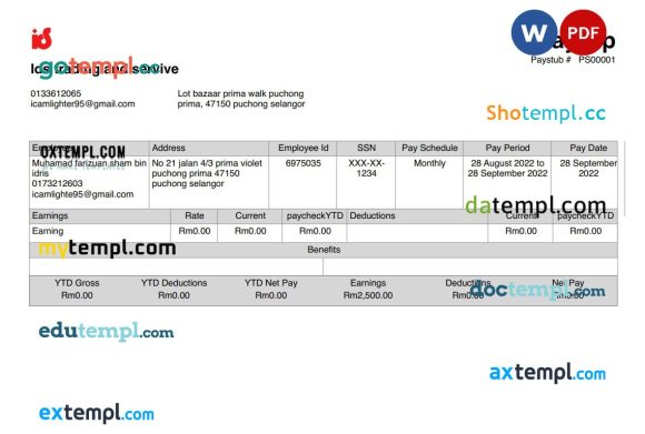 Ids trading and service payslip Word and PDF example
