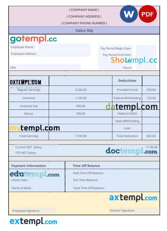 Salary Slip Paystub Word and PDF example