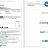 IndiGo airplane e-ticket, Word and PDF download template, 2 pages