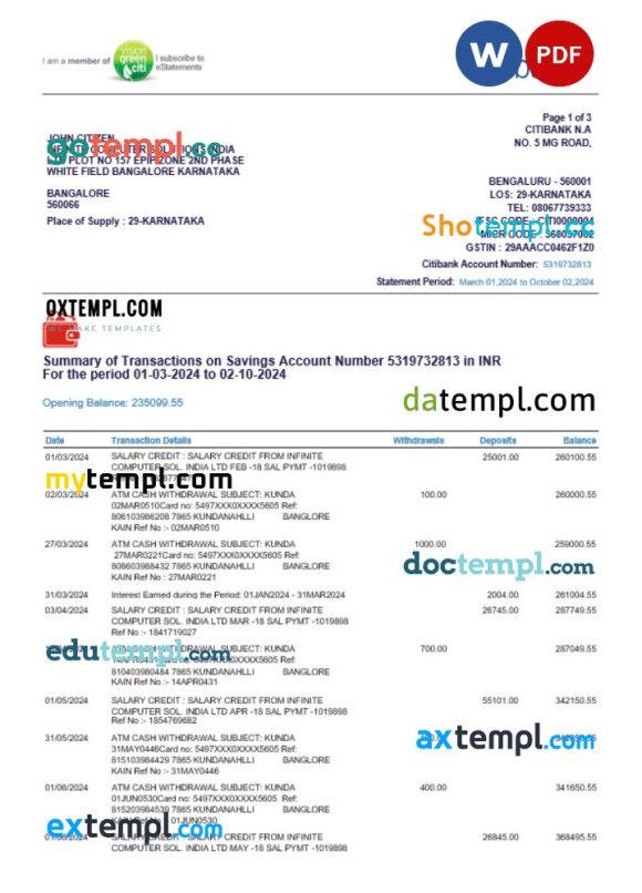 India Citibank bank statement 3 - 6 months Word and PDF example