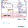 India DESCO utility bill download Word and PDF example