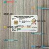 India (Delhi) driving license PSD files, scan look and photographed image, 2 in 1