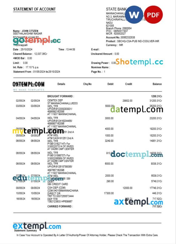 India State Bank of India bank statement 3 - 6 months Word and PDF example, version 3