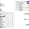 India State bank statement Word and PDF template, 2 pages