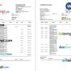 India State bank statement Word and PDF template, 3 pages