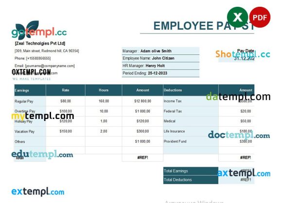 Indian Zeal Technologies Pvt Ltd pay stub example in Excel and PDF format