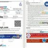 Indian Railways, IRCTC train e-ticket, Word and PDF download template, 3 pages