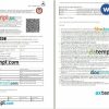 Indian Railways, IRCTC train e-ticket, Word and PDF download template, 3 pages, version 2