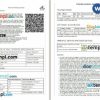 Indian Railways, IRCTC train e-ticket, Word and PDF download template, 4 pages