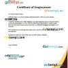 Indonesia Lifetime Design certificate of employment Word and PDF download template
