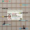International driving license editable PSD files, scan look and photo-realistic look, 2 in 1