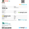 Persian e-visa Word and PDF example, fully editable