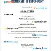 Iraq Ability with Innovation certificate of employment Word and PDF download template
