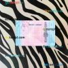 Iraq driving license PSD files, scan look and photographed image, 2 in 1 - Image 2