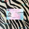 Iraq driving license PSD files, scan look and photographed image, 2 in 1