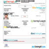 Iraqi e-visa Word and PDF example, fully editable