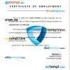 Ireland St. Michael's Hospital certificate of employment Word and PDF download template
