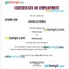 Italy Chiesi Group certificate of employment Word and PDF download template
