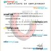 Ivory Coast Official Abidjan Institute of Cardiology certificate of employment Word and PDF download template