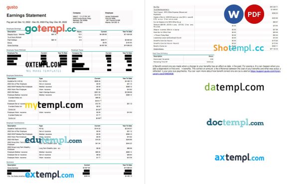 Gusto earnings statement Word and PDF example