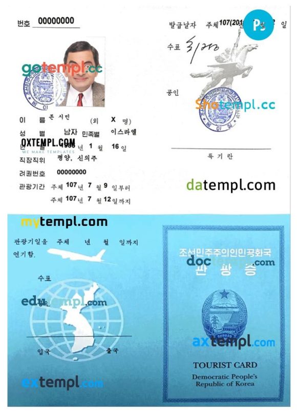 KOREA tourist visa PSD example, fully editable