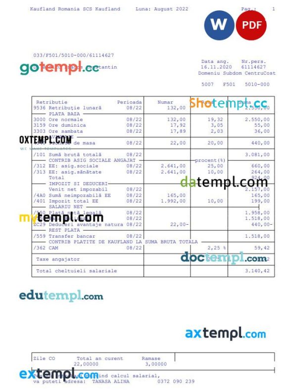 Kaufland Romanian SCS Paystub Word and PDF example
