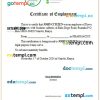 Kenya Dawa Life Sciences certificate of employment Word and PDF download template
