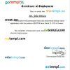 Korea Entertainment Studio Asia certificate of employment Word and PDF download template