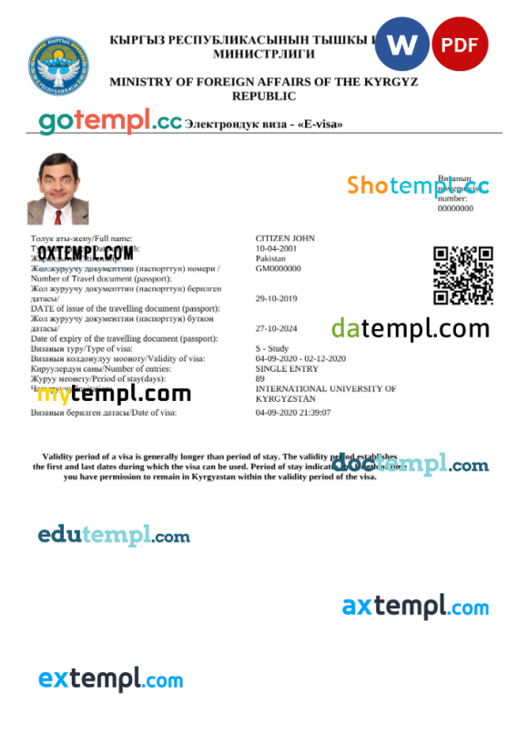 Kirghiz e-visa Word and PDF example