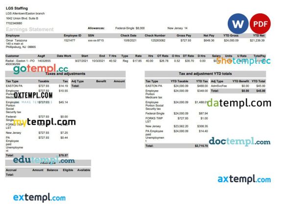 LGS Staffing pay stub example in PDF and Word format