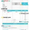 Late rent invoice example in word and pdf format