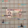 Lebanon driving license editable PSD files, scan look and photo-realistic look, 2 in 1 (version 2)