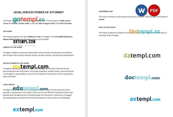 Legal Services Power of Attorney example, fully editable