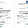 Letter of Intent Word example, fully editable